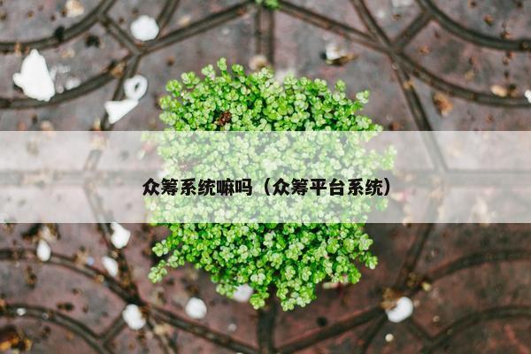 众筹系统嘛吗（众筹平台系统）