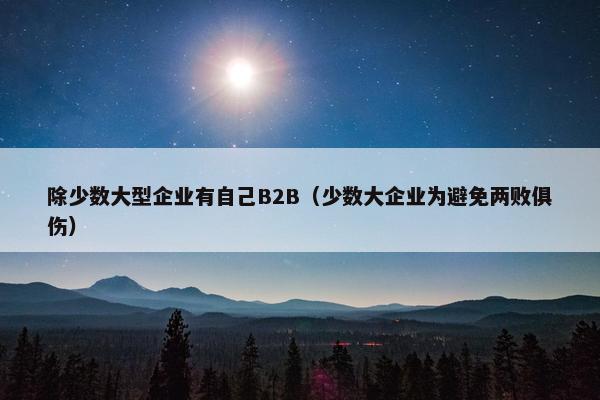 除少数大型企业有自己B2B（少数大企业为避免两败俱伤）