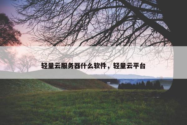 轻量云服务器什么软件，轻量云平台