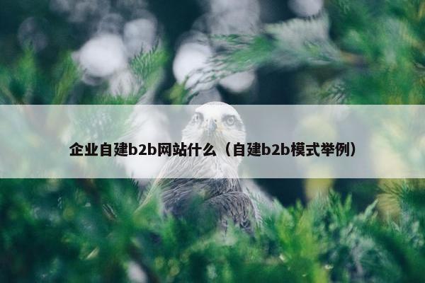 企业自建b2b网站什么（自建b2b模式举例）