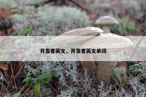 开发者英文，开发者英文单词