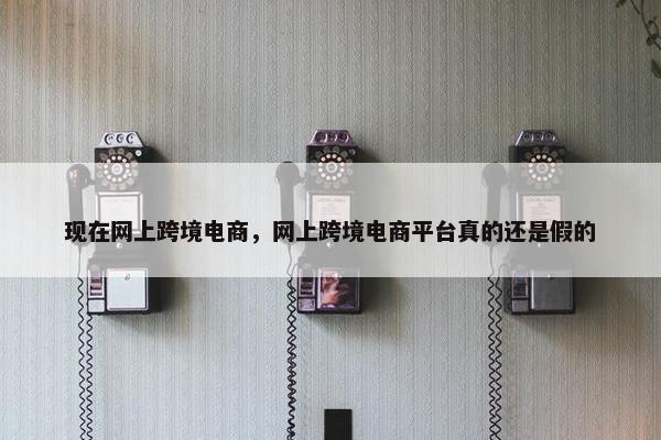 现在网上跨境电商，网上跨境电商平台真的还是假的