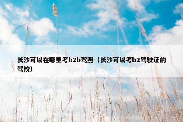 长沙可以在哪里考b2b驾照（长沙可以考b2驾驶证的驾校）
