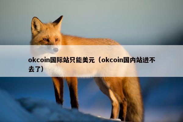 okcoin国际站只能美元（okcoin国内站进不去了）