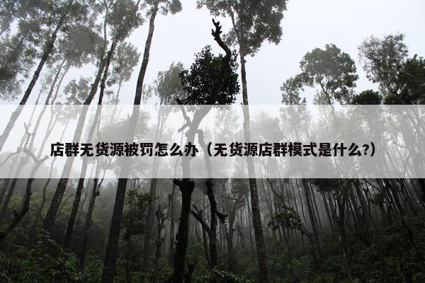 店群无货源被罚怎么办（无货源店群模式是什么?）