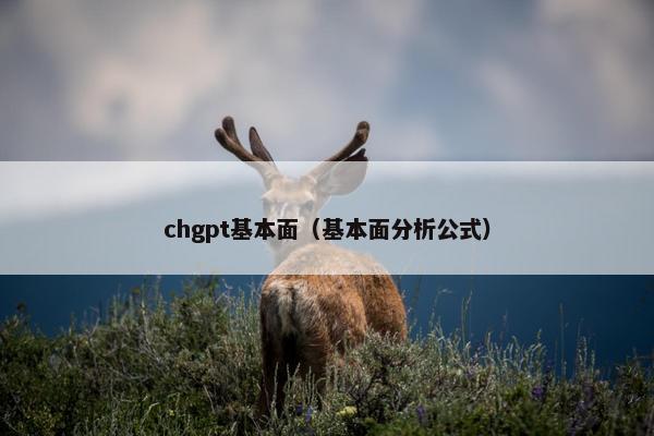 chgpt基本面（基本面分析公式）