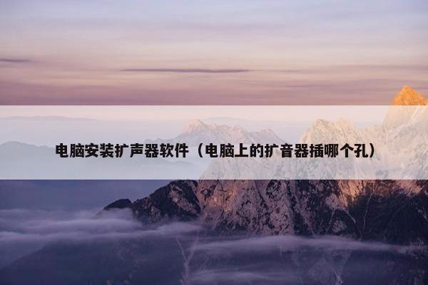 电脑安装扩声器软件（电脑上的扩音器插哪个孔）