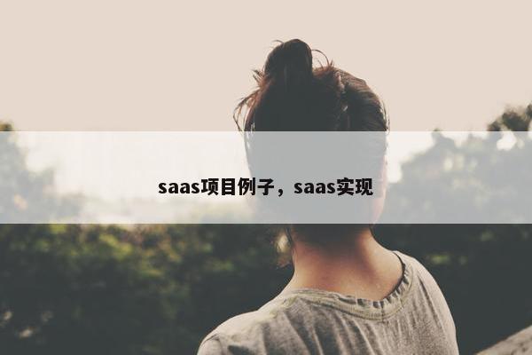 saas项目例子，saas实现