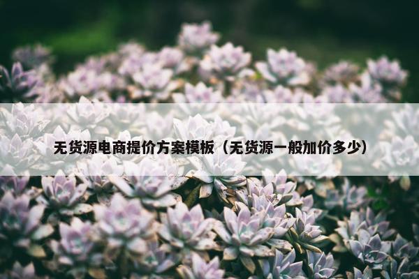 无货源电商提价方案模板（无货源一般加价多少）