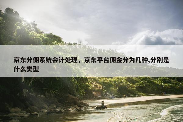 京东分佣系统会计处理，京东平台佣金分为几种,分别是什么类型