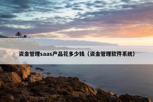 资金管理saas产品花多少钱（资金管理软件系统）