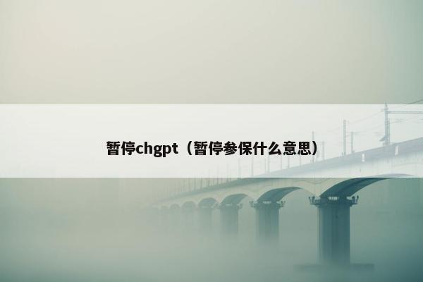 暂停chgpt（暂停参保什么意思）