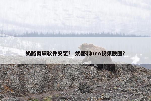 奶酪剪辑软件安装？ 奶酪和neo视频截图？
