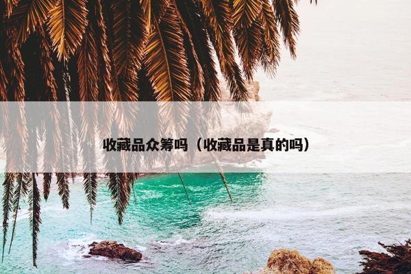 收藏品众筹吗（收藏品是真的吗）