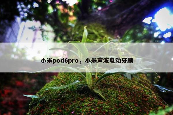 小米pod6pro，小米声波电动牙刷