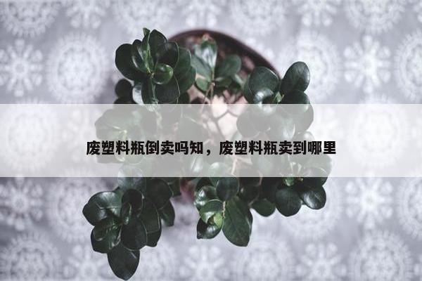 废塑料瓶倒卖吗知，废塑料瓶卖到哪里