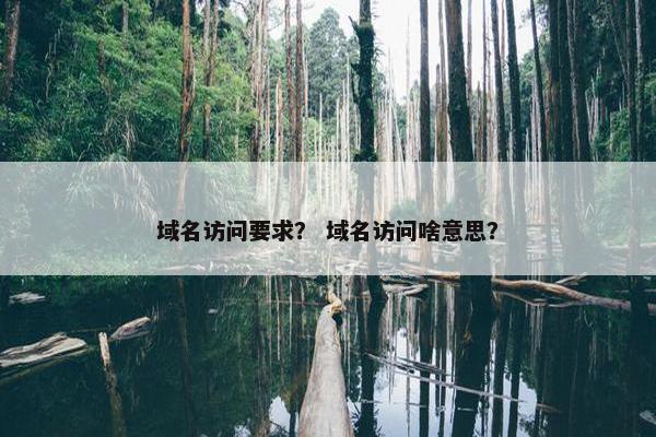 域名访问要求？ 域名访问啥意思？