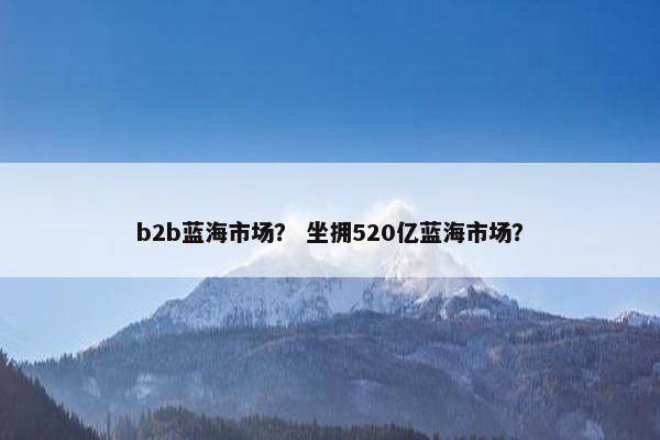 b2b蓝海市场？ 坐拥520亿蓝海市场？