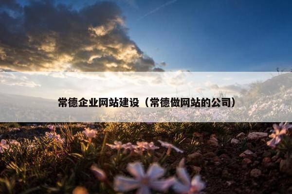常德企业网站建设（常德做网站的公司）
