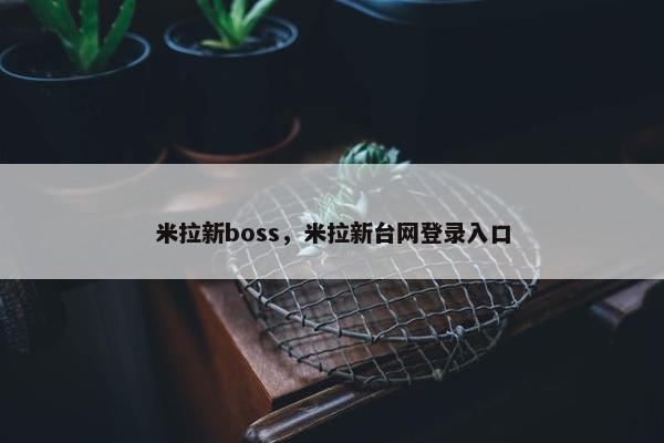 米拉新boss，米拉新台网登录入口