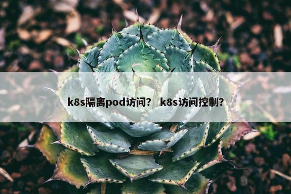 k8s隔离pod访问？ k8s访问控制？
