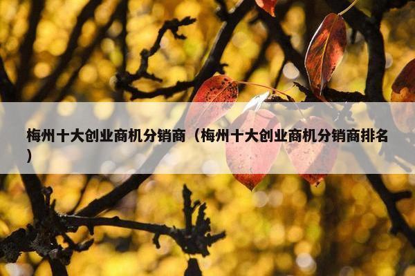 梅州十大创业商机分销商（梅州十大创业商机分销商排名）