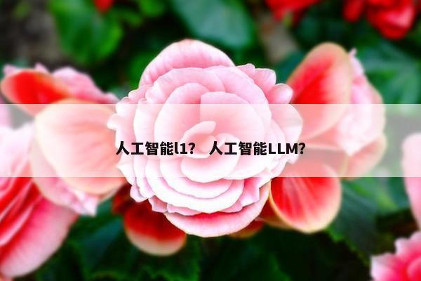 人工智能l1？ 人工智能LLM？