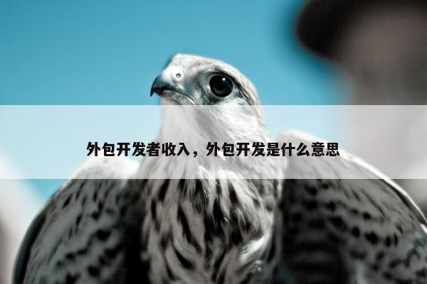 外包开发者收入，外包开发是什么意思