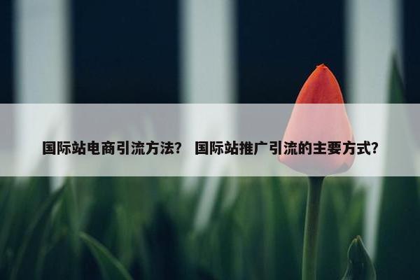 国际站电商引流方法？ 国际站推广引流的主要方式？
