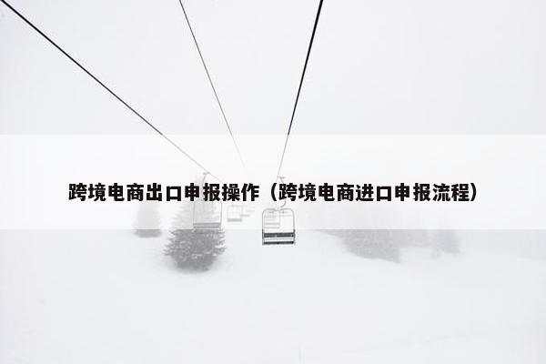 跨境电商出口申报操作（跨境电商进口申报流程）