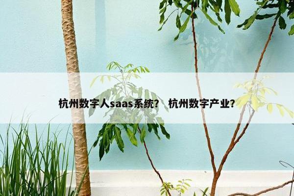 杭州数字人saas系统？ 杭州数字产业？