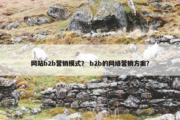 网站b2b营销模式？ b2b的网络营销方案？