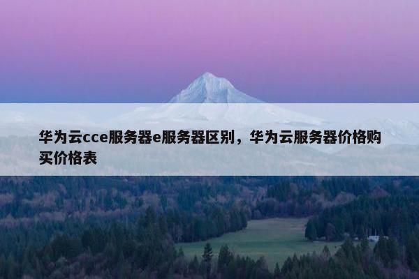 华为云cce服务器e服务器区别，华为云服务器价格购买价格表