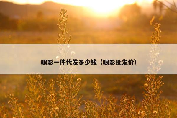 眼影一件代发多少钱（眼影批发价）