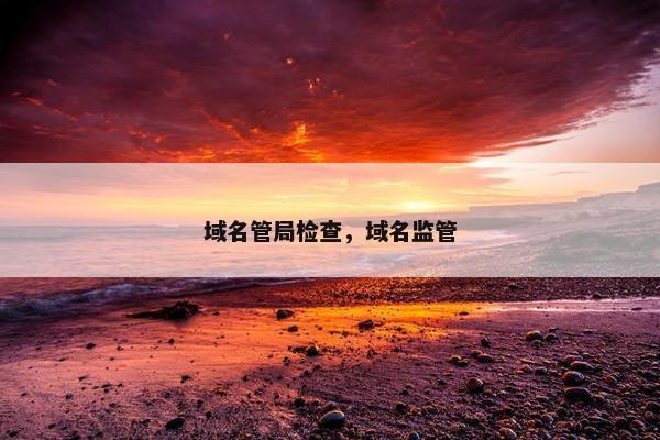 域名管局检查，域名监管