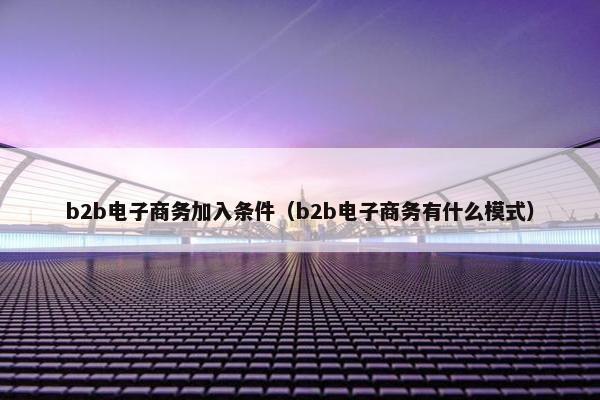 b2b电子商务加入条件（b2b电子商务有什么模式）