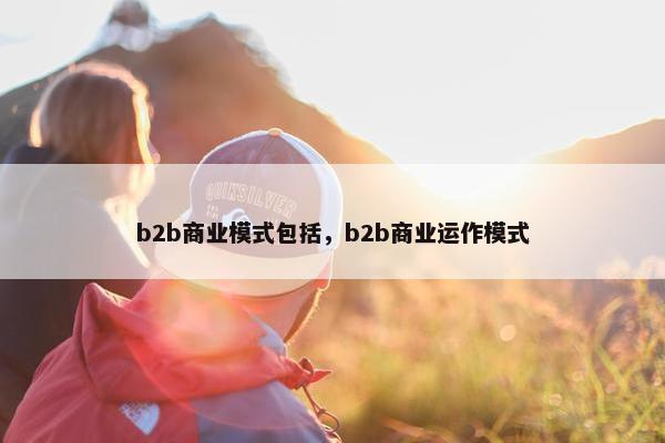 b2b商业模式包括，b2b商业运作模式