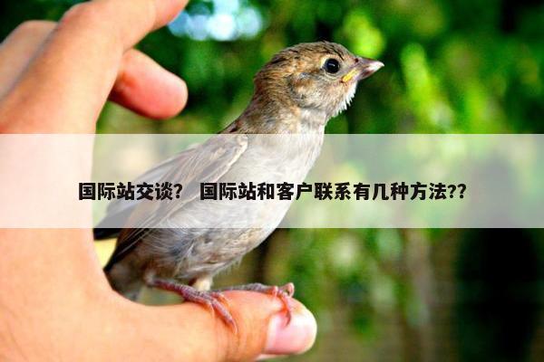 国际站交谈？ 国际站和客户联系有几种方法?？
