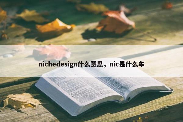 nichedesign什么意思，nic是什么车