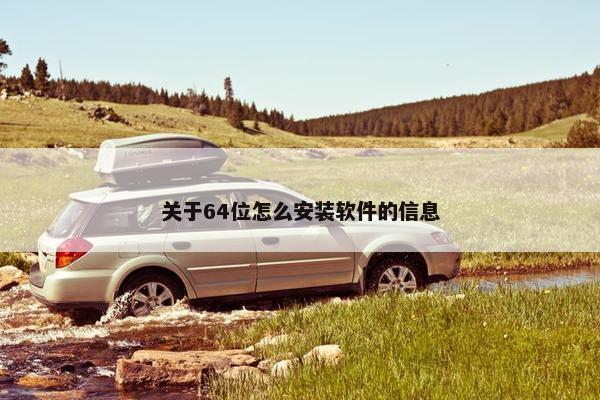 关于64位怎么安装软件的信息