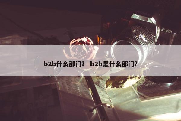 b2b什么部门？ b2b是什么部门？