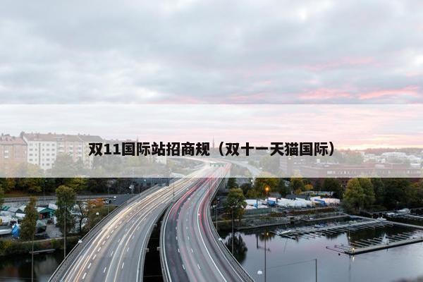 双11国际站招商规（双十一天猫国际）