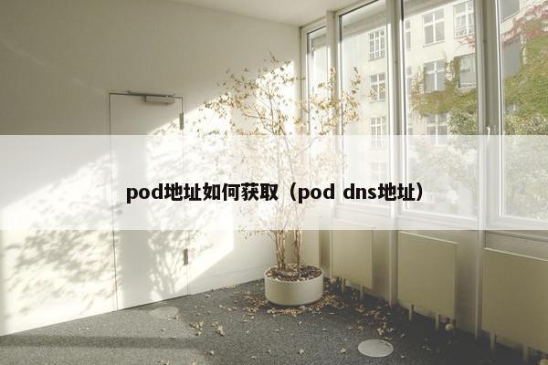 pod地址如何获取（pod dns地址）