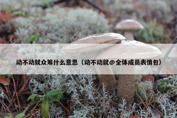 动不动就众筹什么意思（动不动就@全体成员表情包）