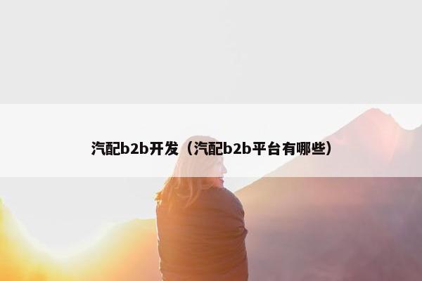 汽配b2b开发（汽配b2b平台有哪些）