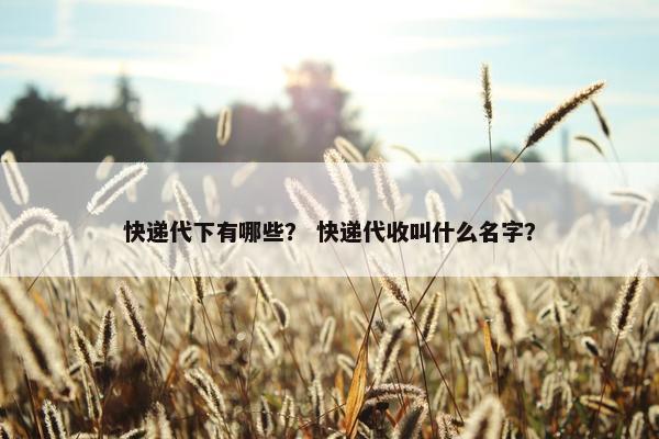 快递代下有哪些？ 快递代收叫什么名字？