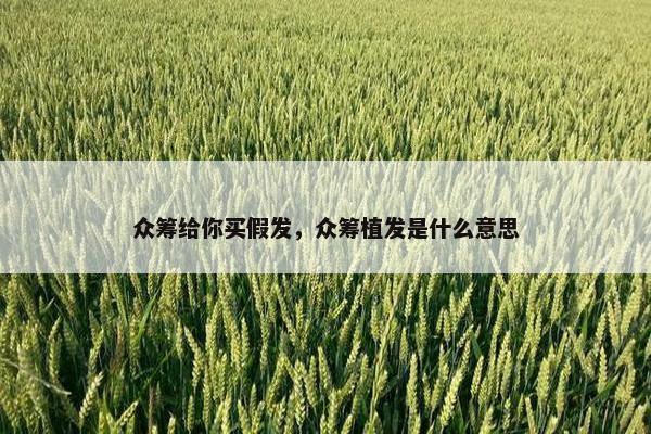 众筹给你买假发，众筹植发是什么意思