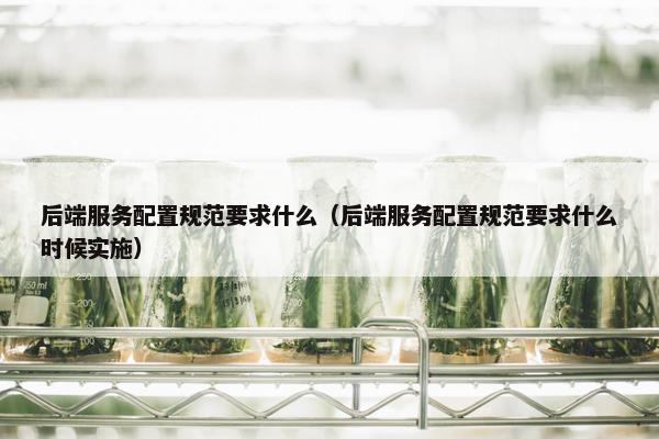 后端服务配置规范要求什么（后端服务配置规范要求什么时候实施）