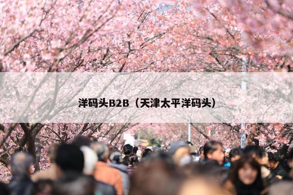 洋码头B2B（天津太平洋码头）
