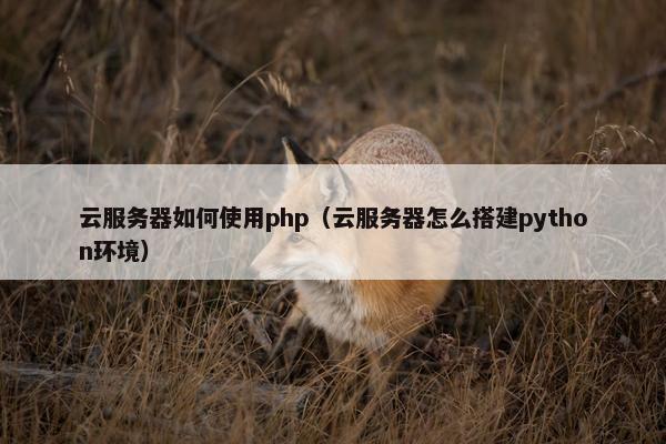 云服务器如何使用php（云服务器怎么搭建python环境）